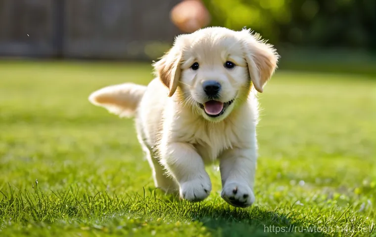 웹툰작가가 알고 있어야 할 시장 데이터 - **Prompt 2: "An adventurous male explorer, around 30 years old, stands atop a majestic mountain peak... 웹툰작가가 알고 있어야 할 시장 데이터 - **Prompt 2: "An adventurous male explorer, around 30 years old, stands atop a majestic mountain peak...
